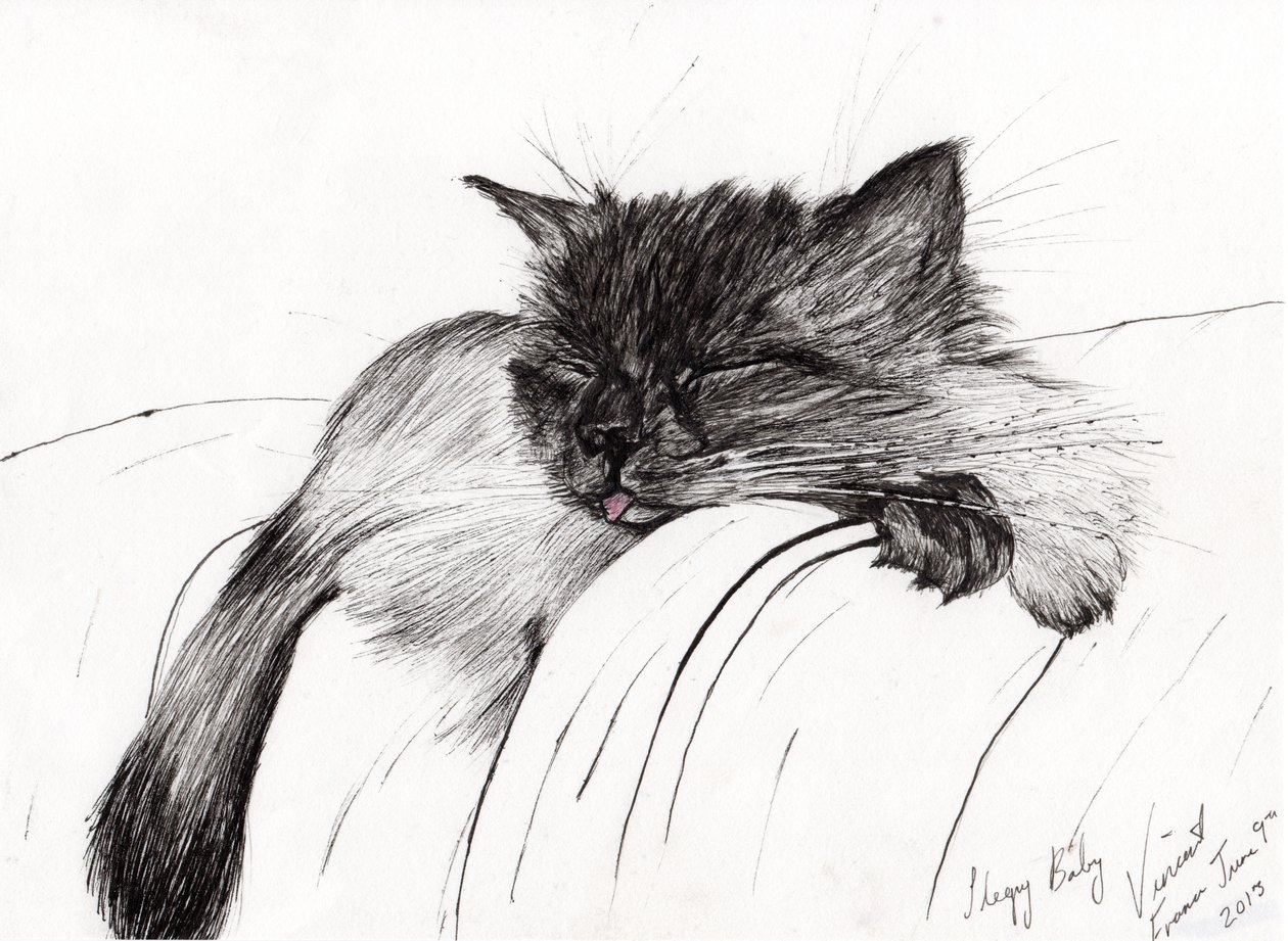 Sleepy Baby, 2013, (blæk på papir) af Vincent Alexander Booth