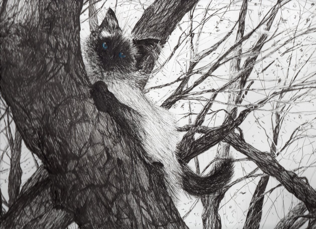 Up the apple tree, 2006, (blæk på papir) af Vincent Alexander Booth