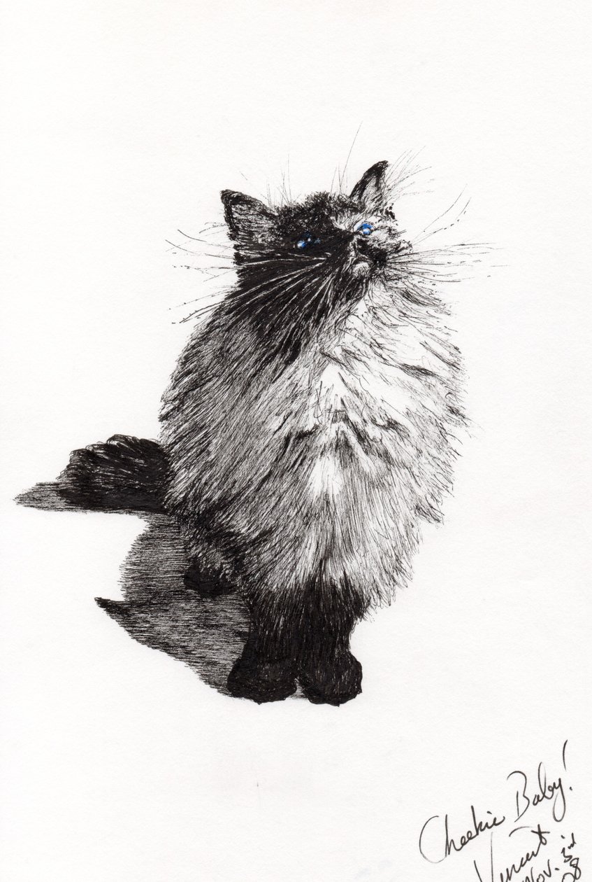 cheekie baby, 2008, (blæk på papir) af Vincent Alexander Booth