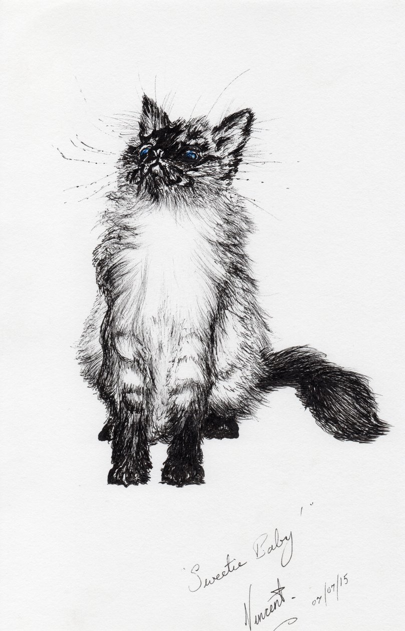 sweetie baby, 2015, (blæk på papir) af Vincent Alexander Booth