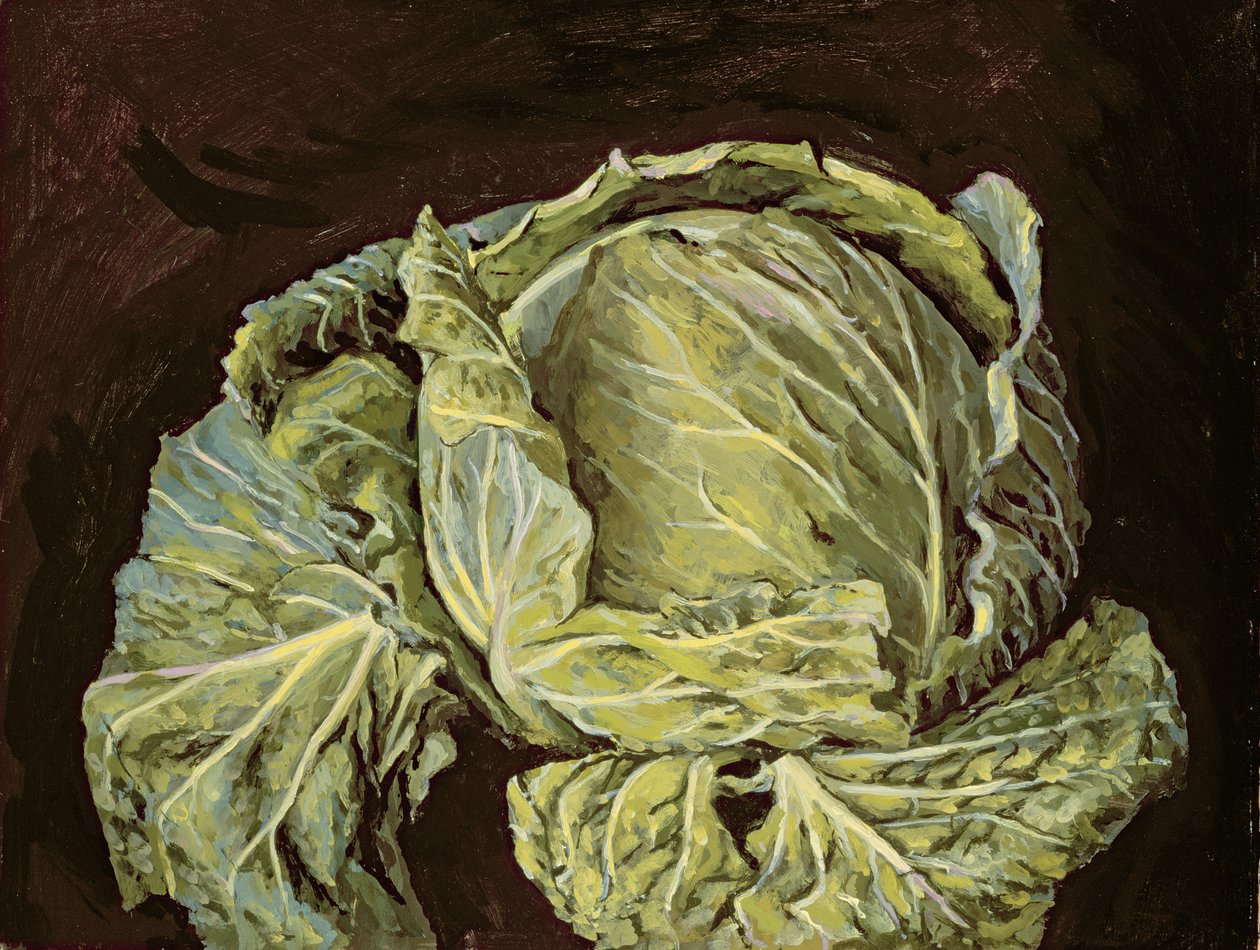 Kål Stilleben, 2000 af Vincent Yorke