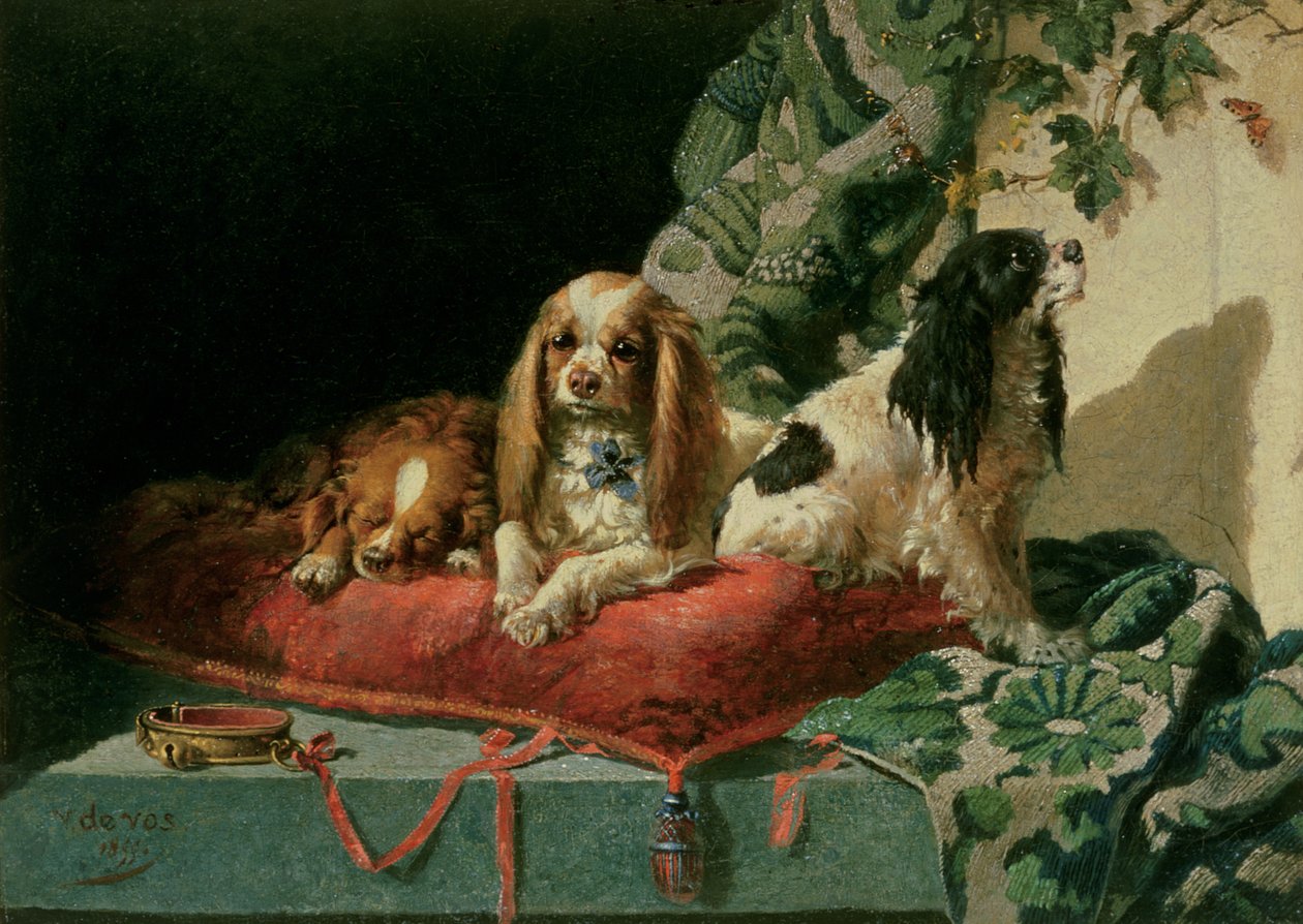 King Charles Spaniels af Vincent de Vos