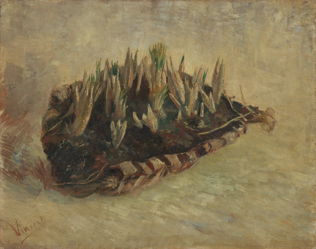 Kurv med krokusløg af Vincent van Gogh