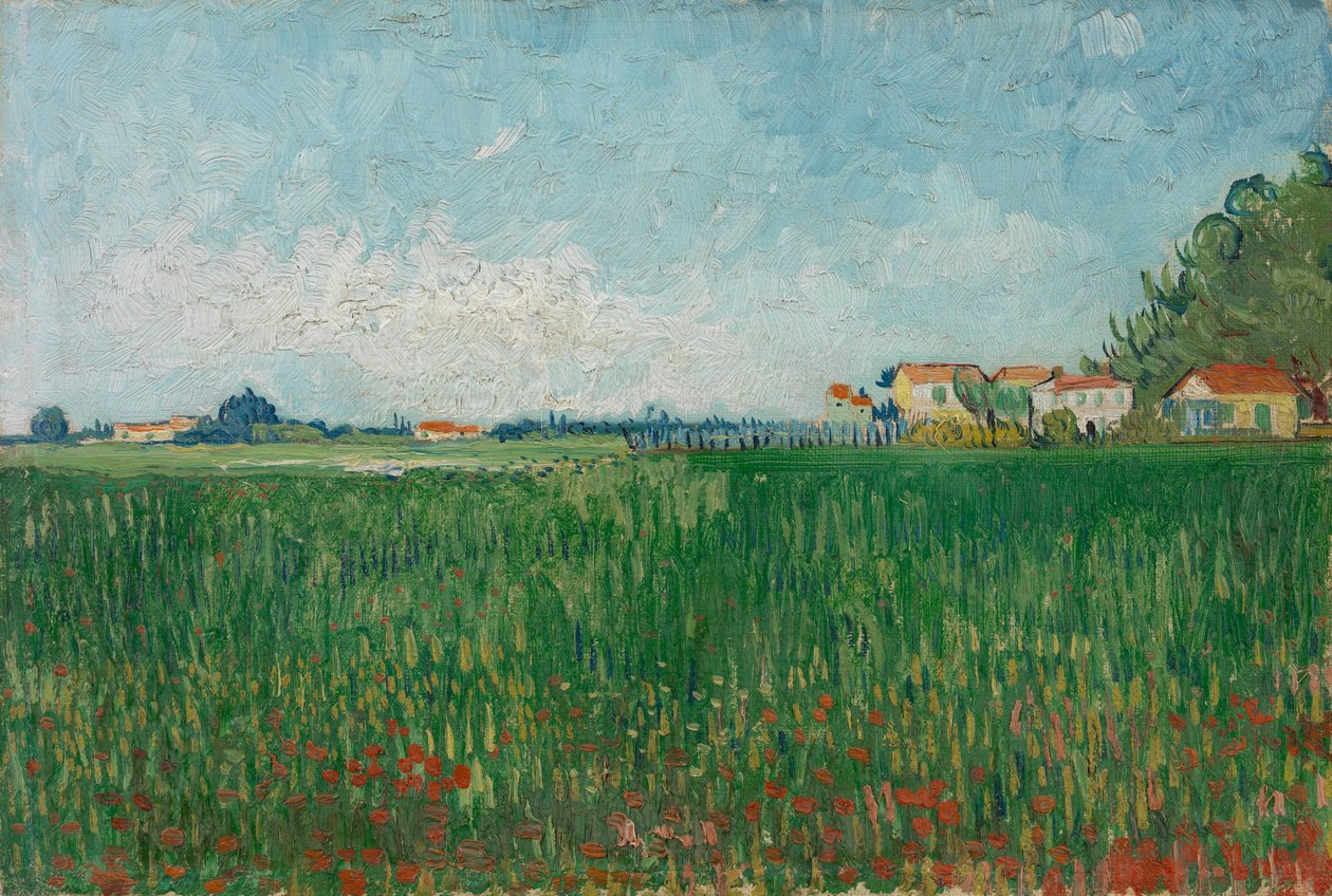 Mark med valmuer af Vincent van Gogh