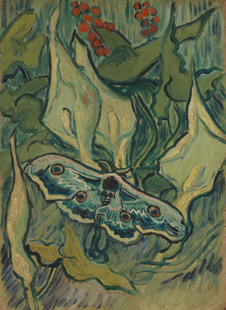 Kæmpe påfuglemøl af Vincent van Gogh
