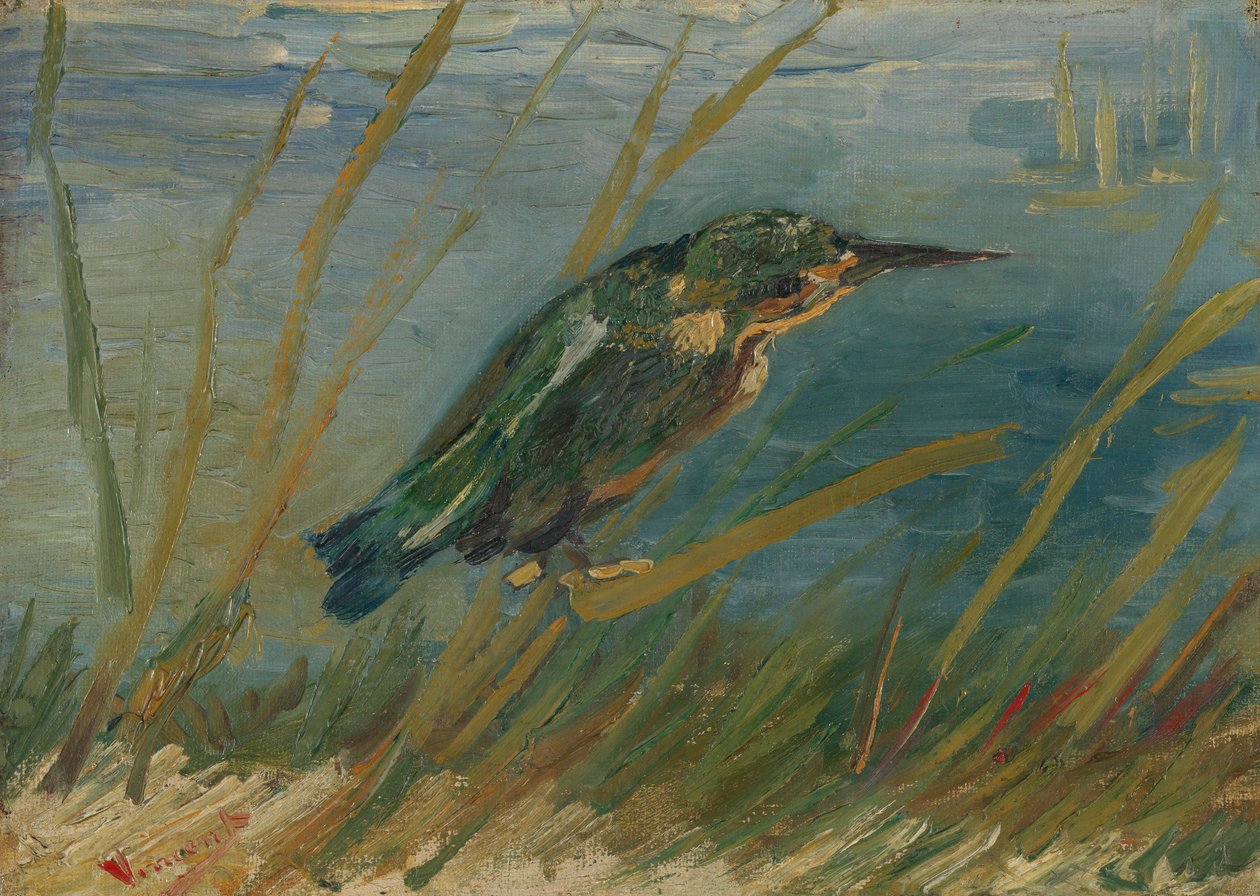 Kingfisher ved vandet af Vincent van Gogh