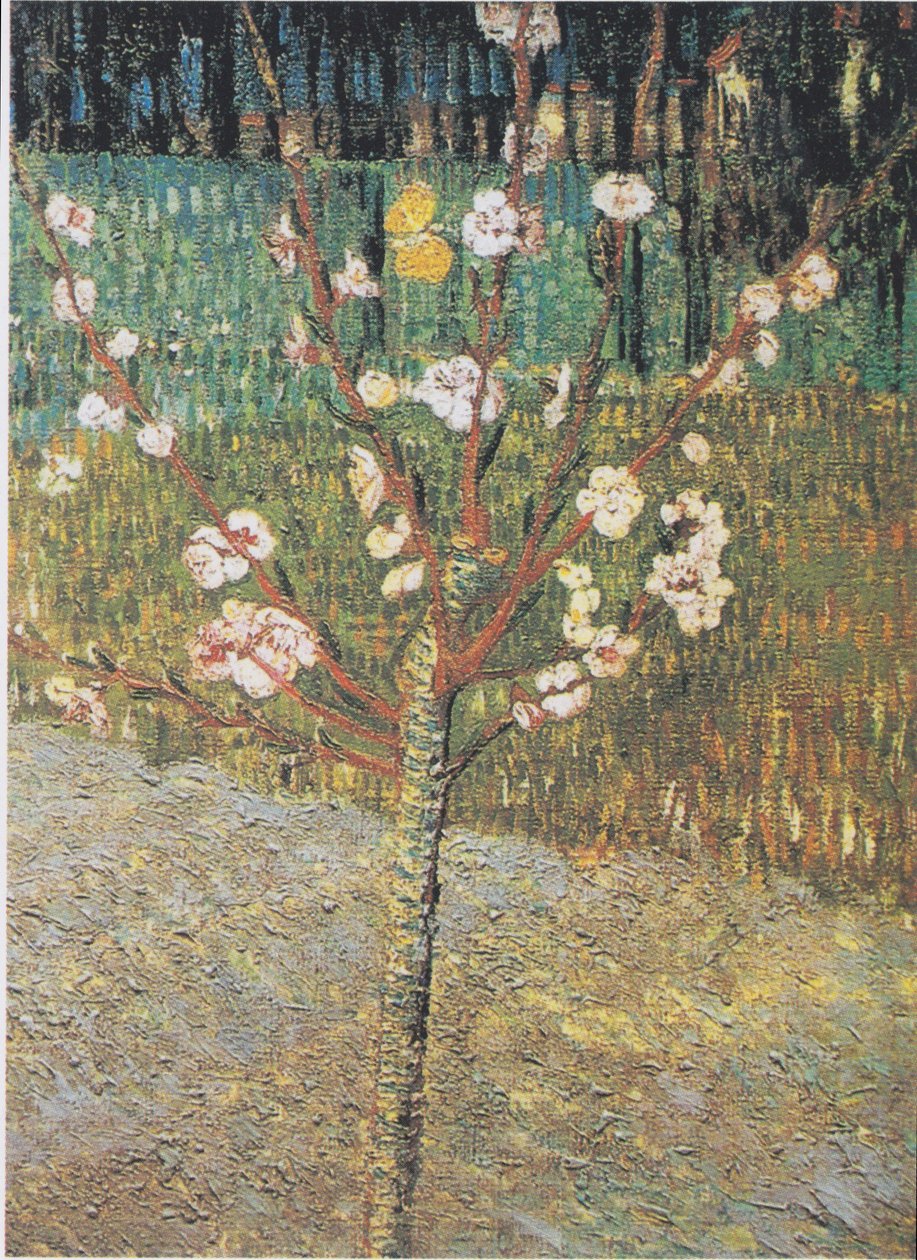 Blomstrende mandeltræ af Vincent van Gogh