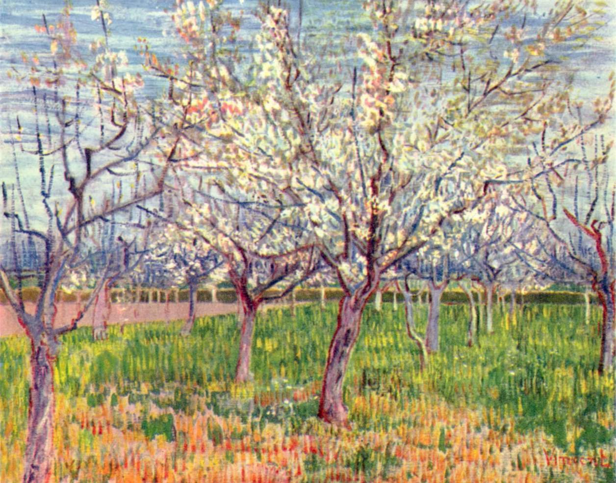 Blomstrende frugtplantage af Vincent van Gogh