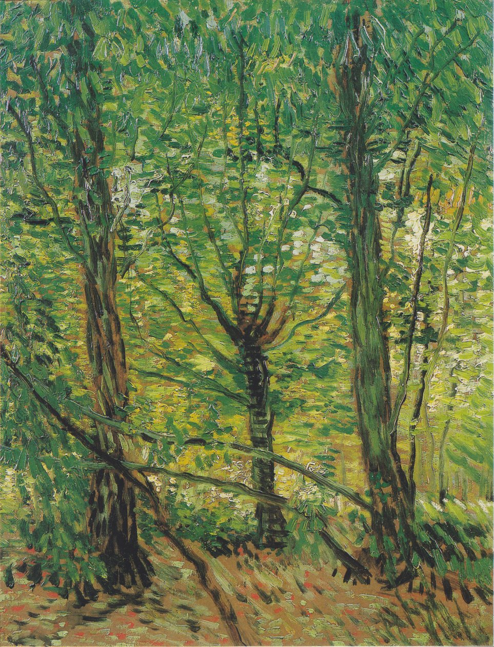 Træer og underskov af Vincent van Gogh