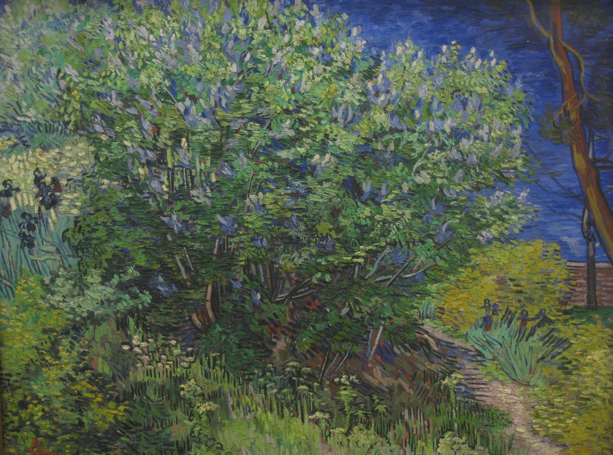 Bush af Vincent van Gogh