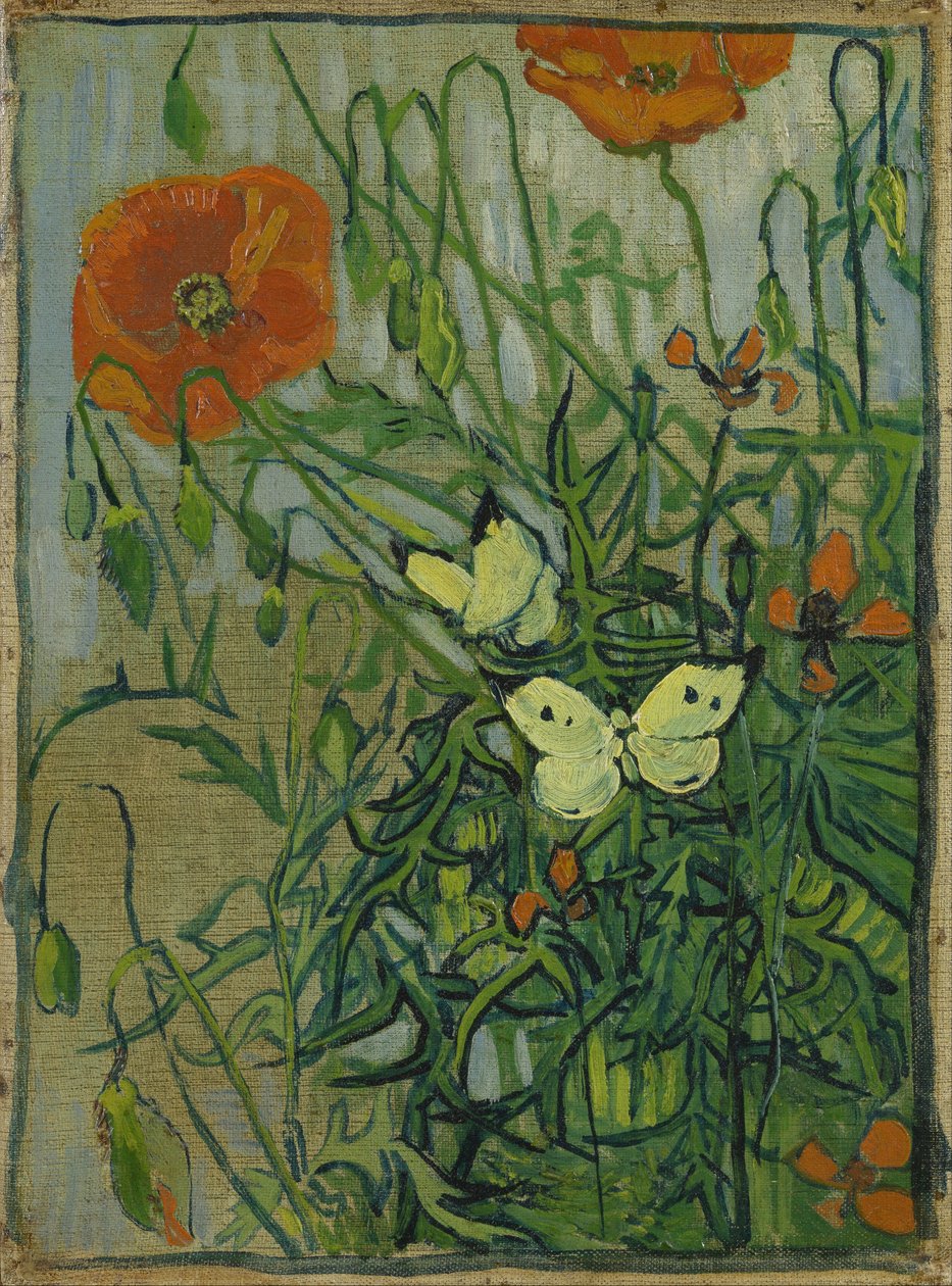 Sommerfugle og valmuer af Vincent van Gogh