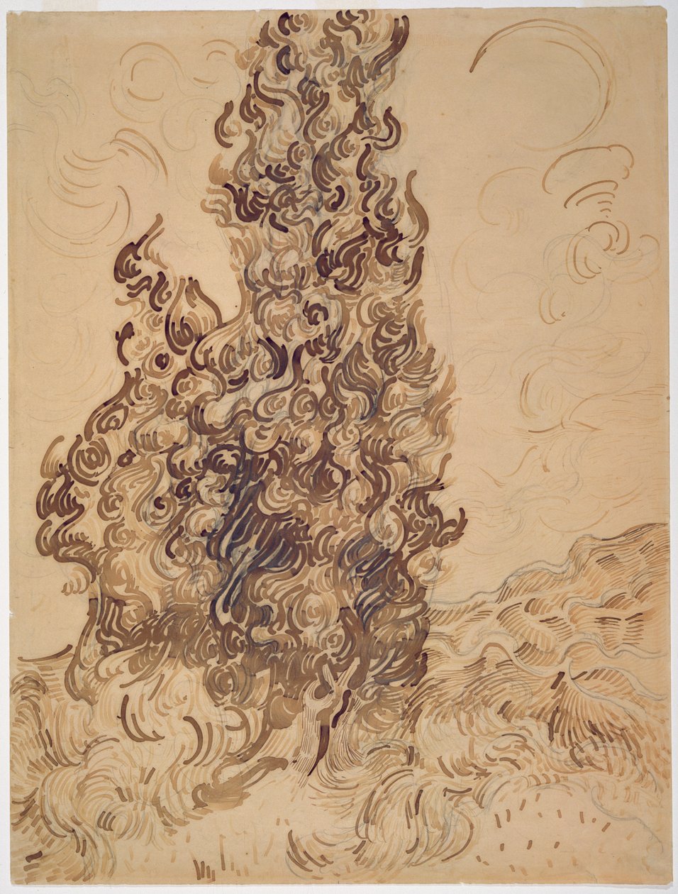 Cypresser, 1889 (rørpen, grafit, fjerpen og brunt og sort blæk på papir) af Vincent van Gogh