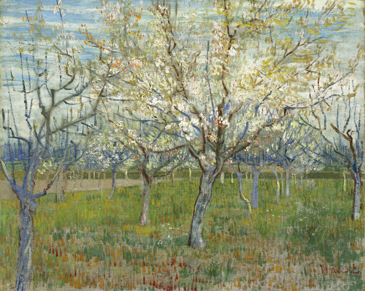 Den lyserøde frugtplantage af Vincent van Gogh