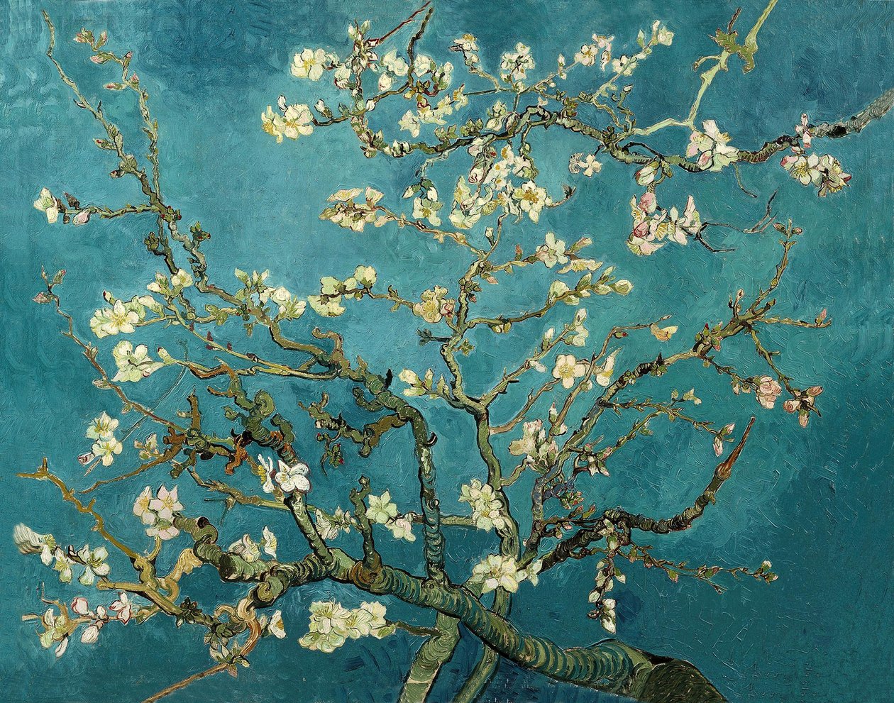 Mandelblomst af Vincent van Gogh