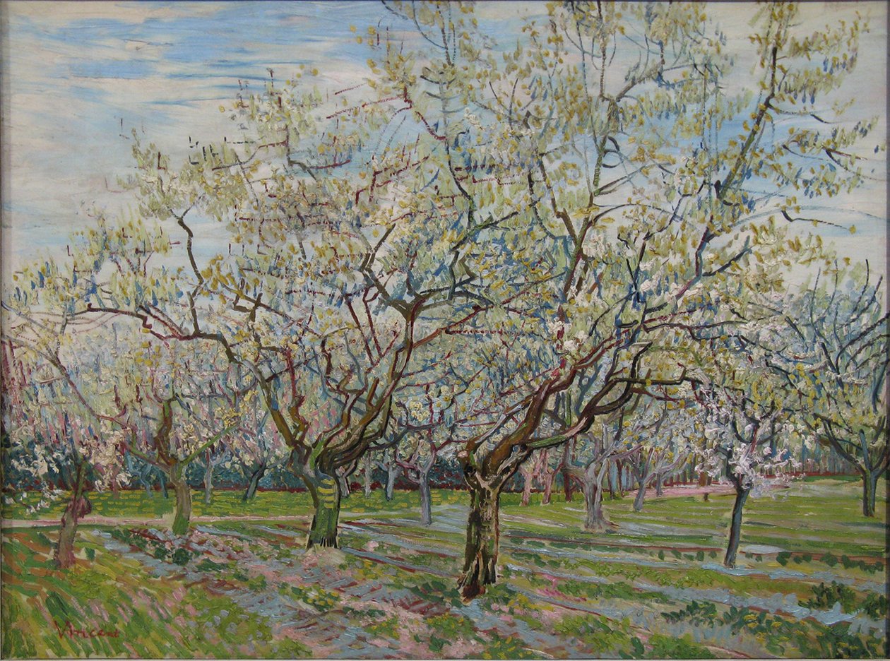 Den hvide frugtplantage af Vincent van Gogh