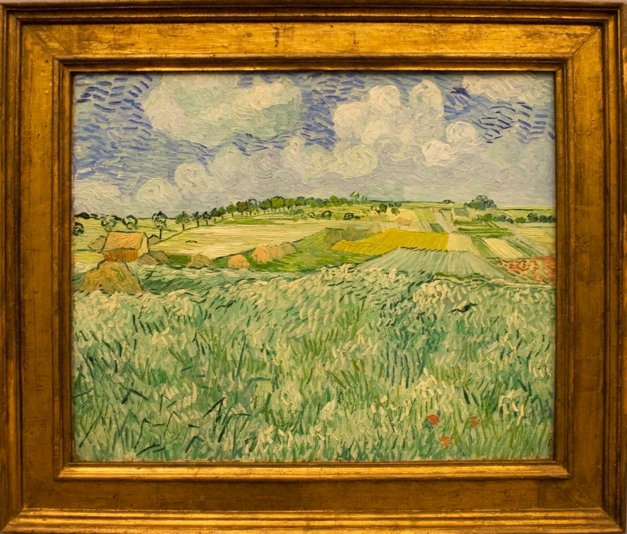 Niveau ved Auvers af Vincent van Gogh