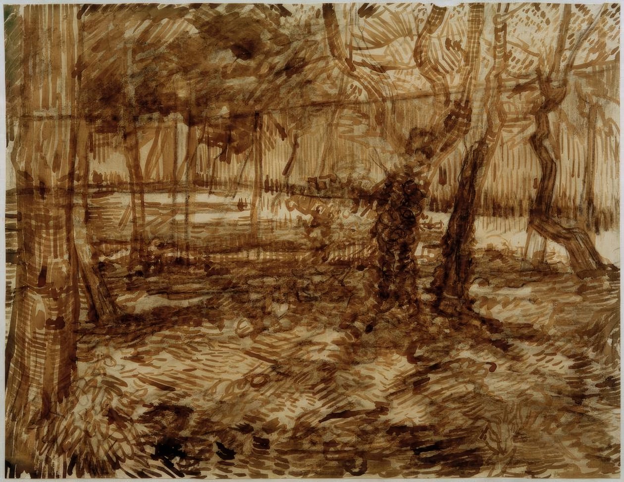 Hjørne i sanatoriets have af Vincent van Gogh