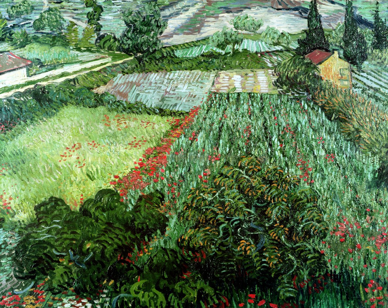 Mark med valmuer, 1889 af Vincent van Gogh