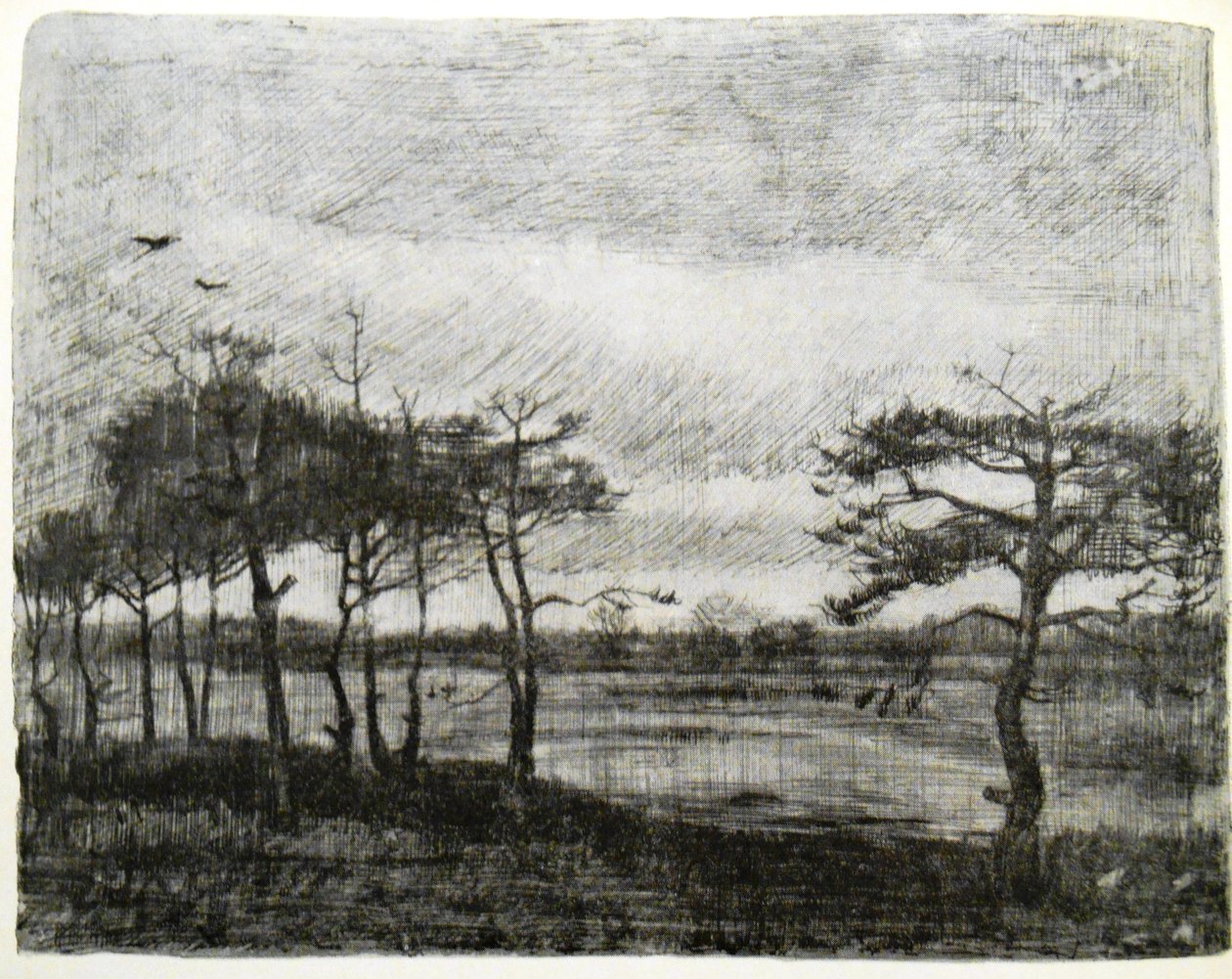 Gran ved en sump af Vincent van Gogh