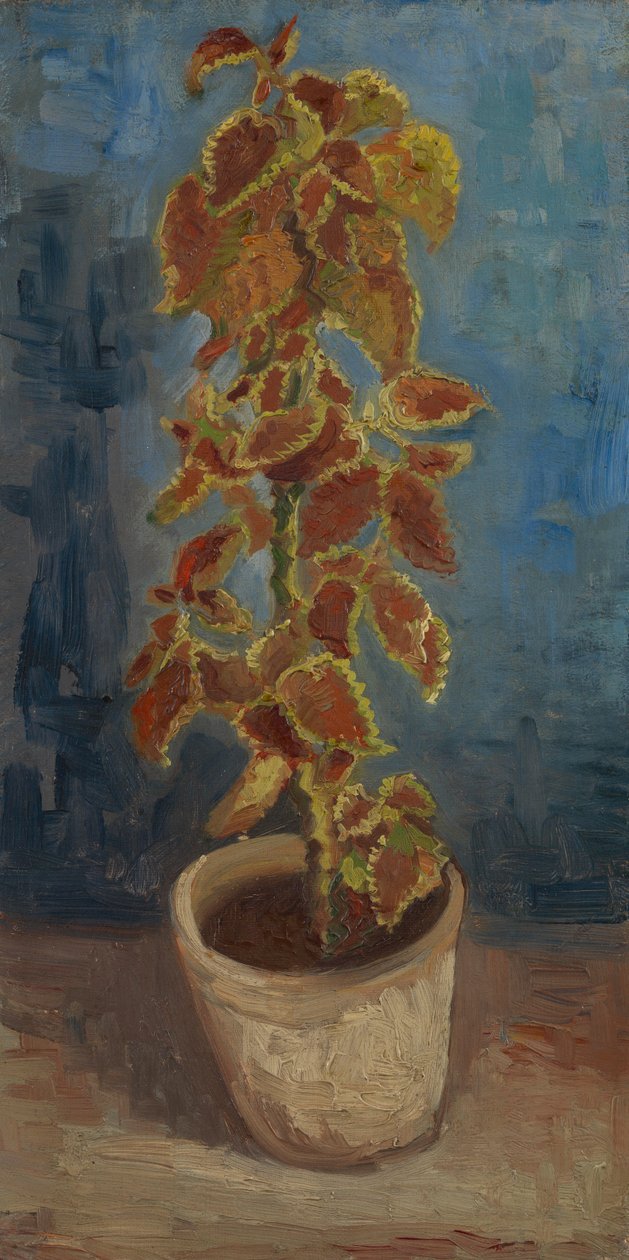 Flamme brændenælde i en urtepotte af Vincent van Gogh