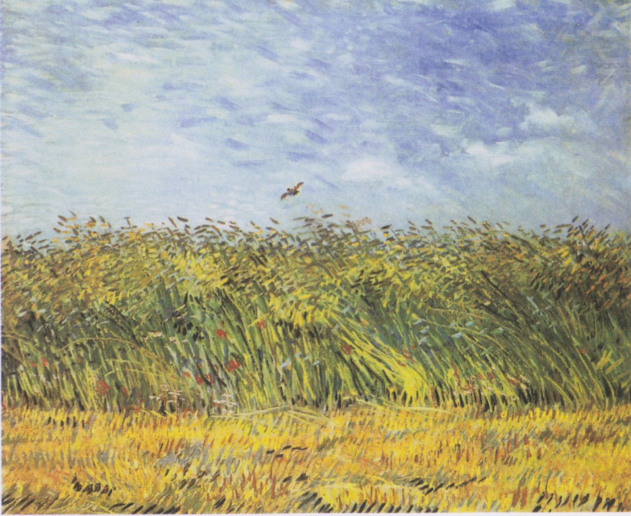 Kornmark med valmuer og lærke af Vincent van Gogh