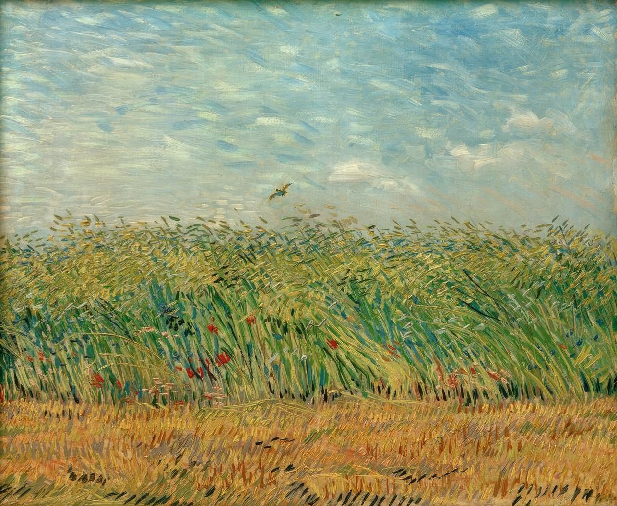Kornmark med valmuer og agerhøns af Vincent van Gogh