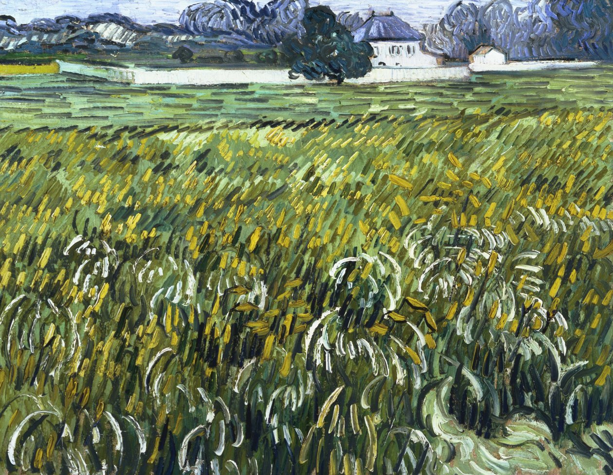 Hus i Auvers af Vincent van Gogh