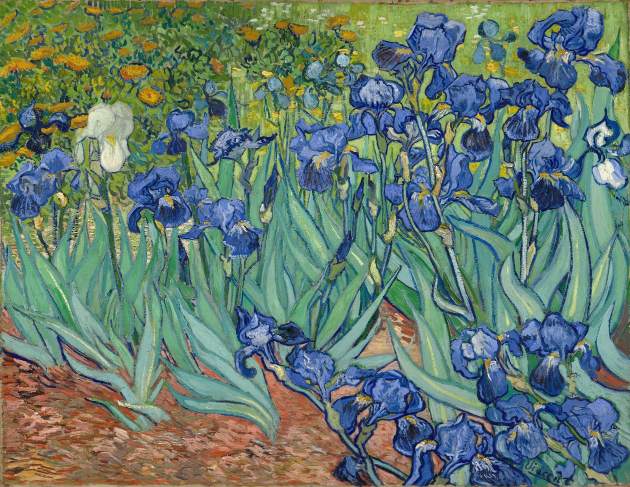 Iris af Vincent van Gogh