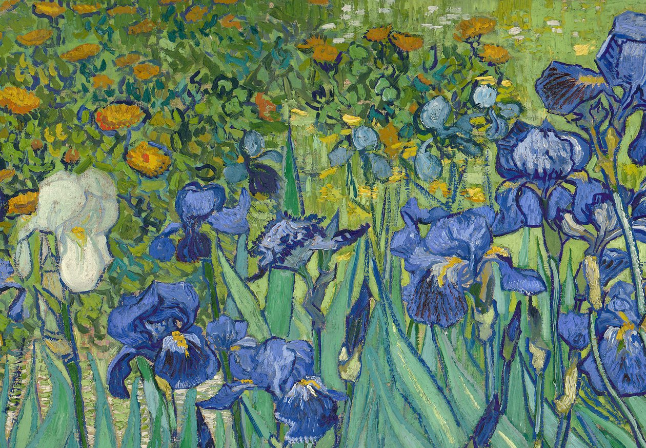 Iriser, 1889 (detalje af 40070) af Vincent van Gogh