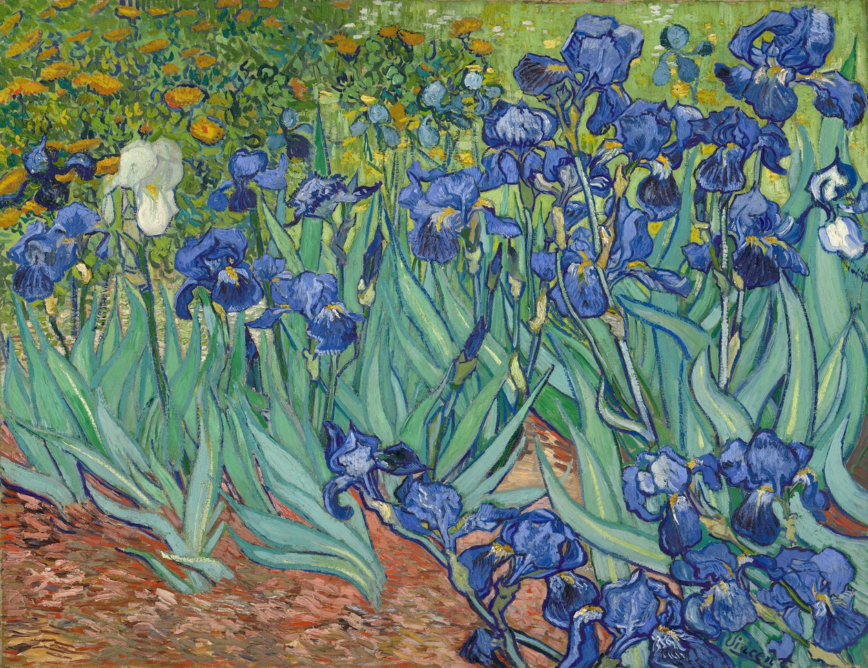 Iriser af Vincent van Gogh