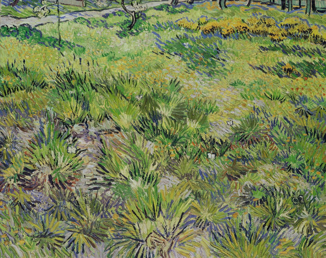 Enge med sommerfugle, 1890 af Vincent van Gogh