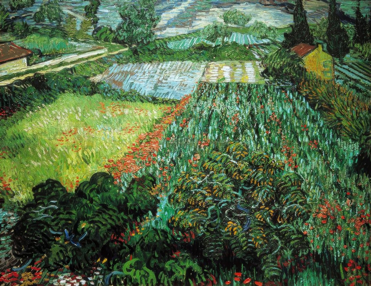 Mohnfeld af Vincent van Gogh