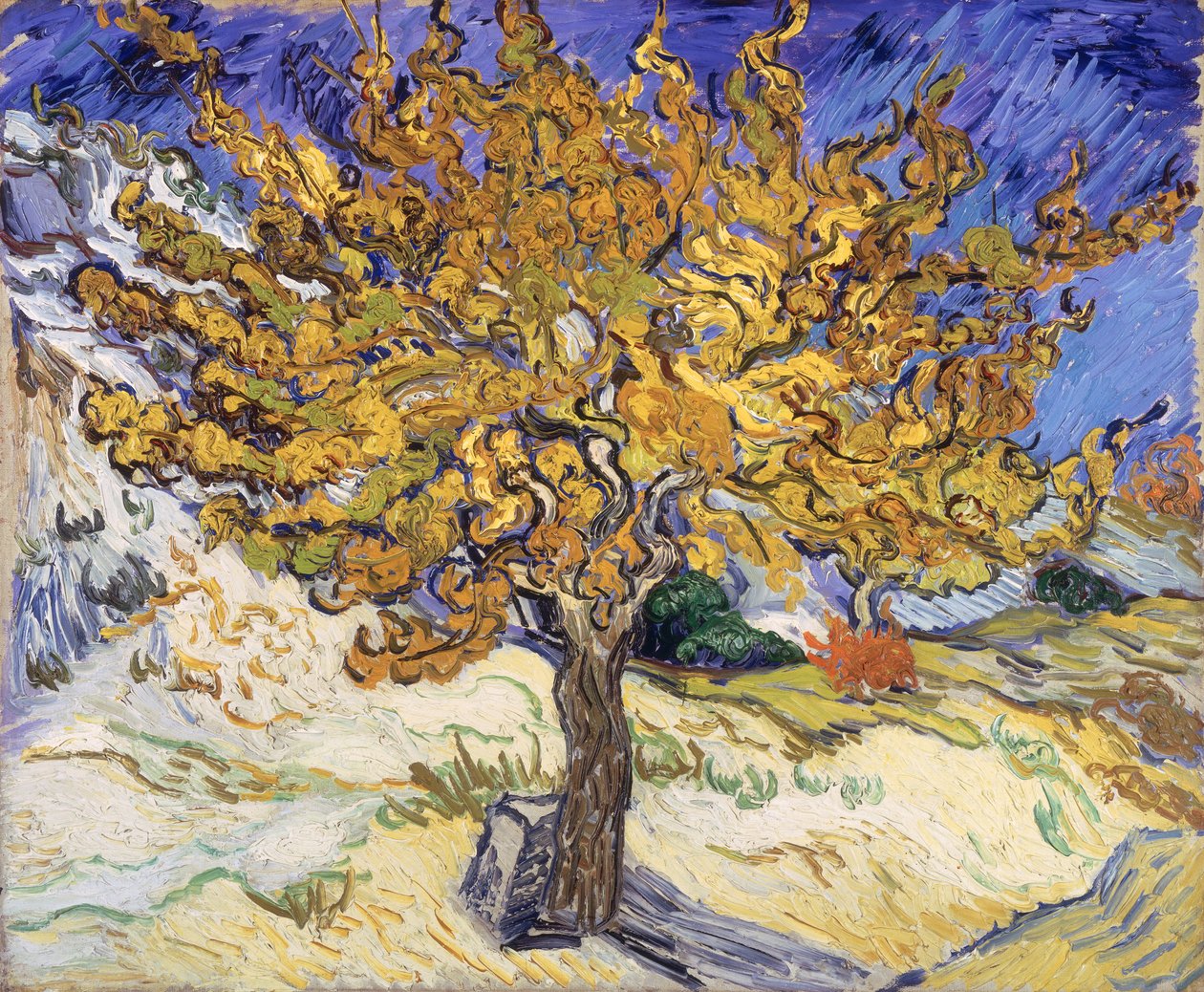 Morbærtræ, 1889 af Vincent van Gogh