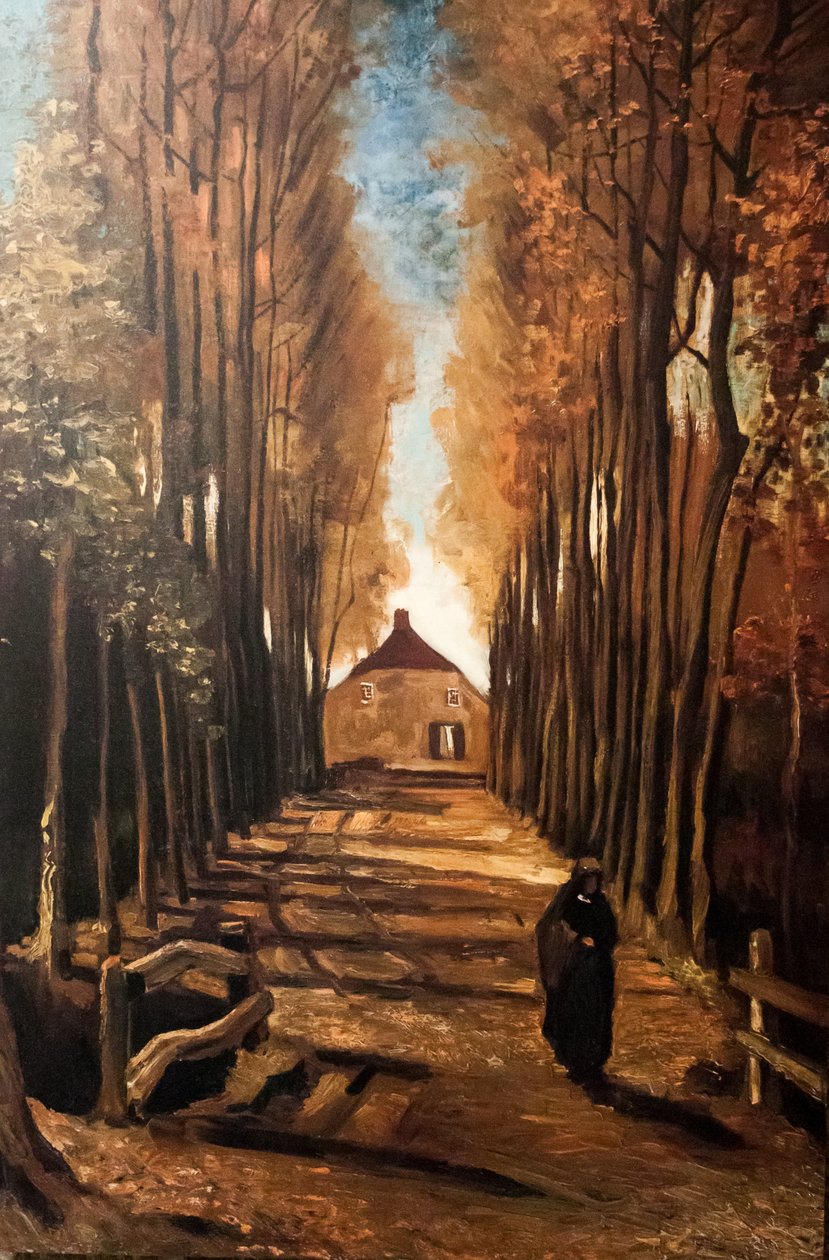 Min drøm af Vincent van Gogh
