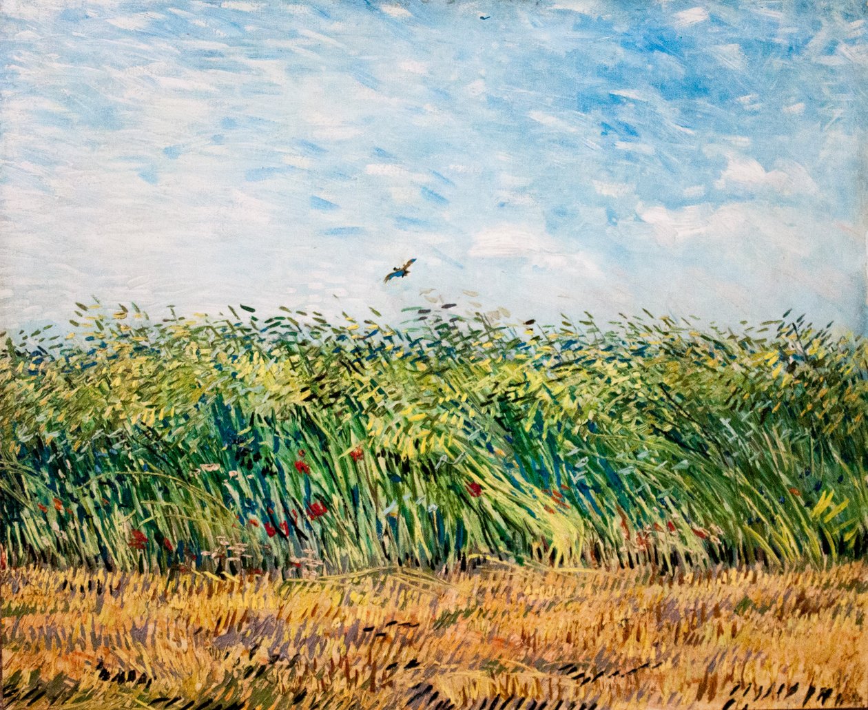 Min drøm af Vincent van Gogh