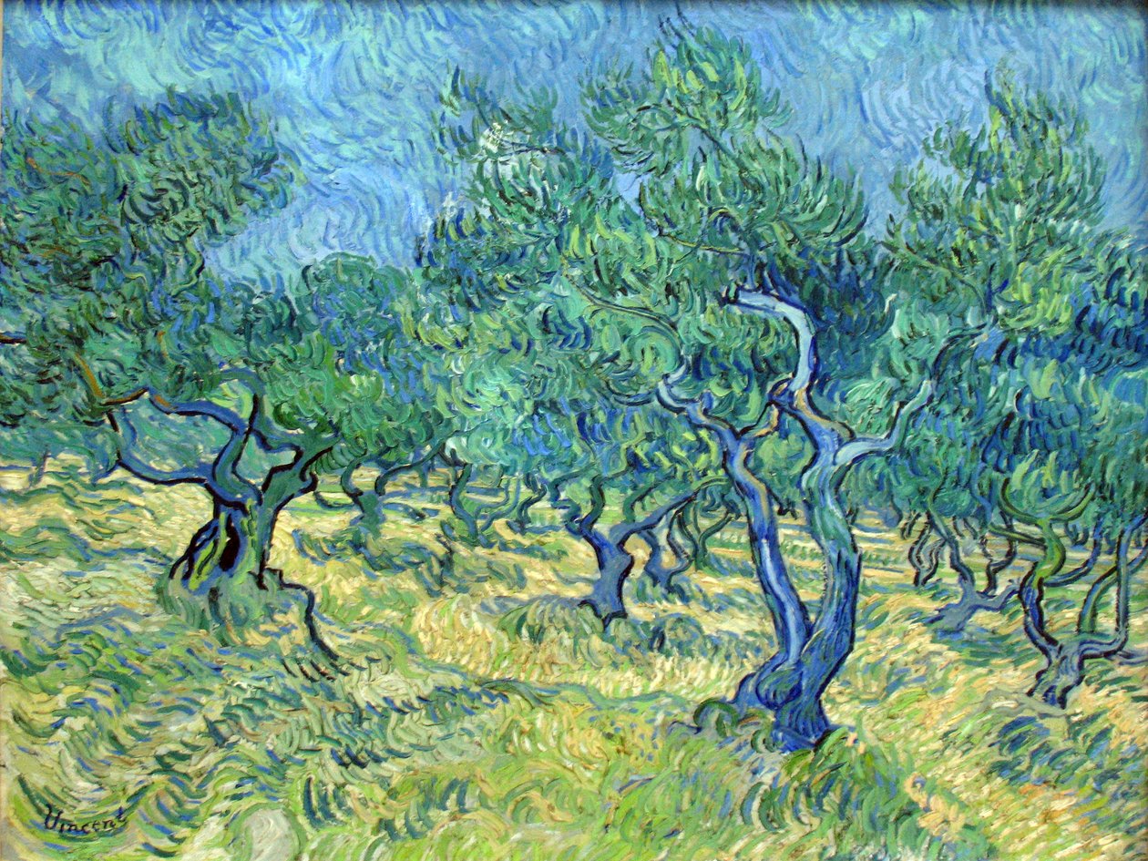 Olivenhave af Vincent van Gogh