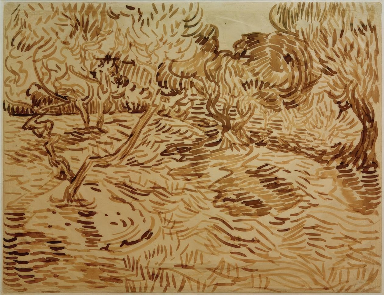 Olivenlund af Vincent van Gogh