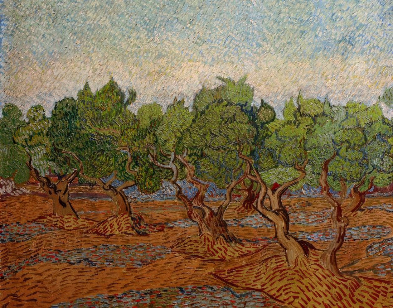 Olivenlund af Vincent van Gogh