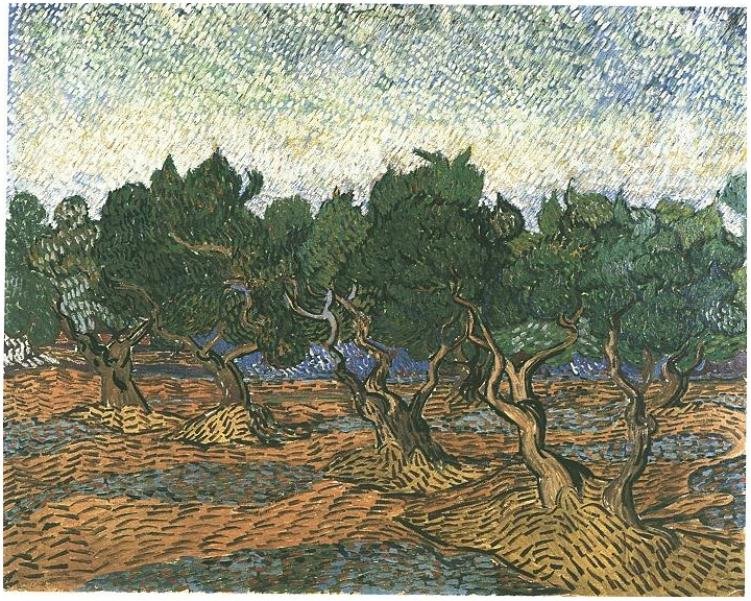 Olivenlund 3 af Vincent van Gogh