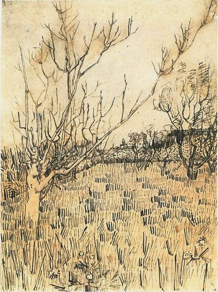 Frugthave med Arles i baggrunden af Vincent van Gogh