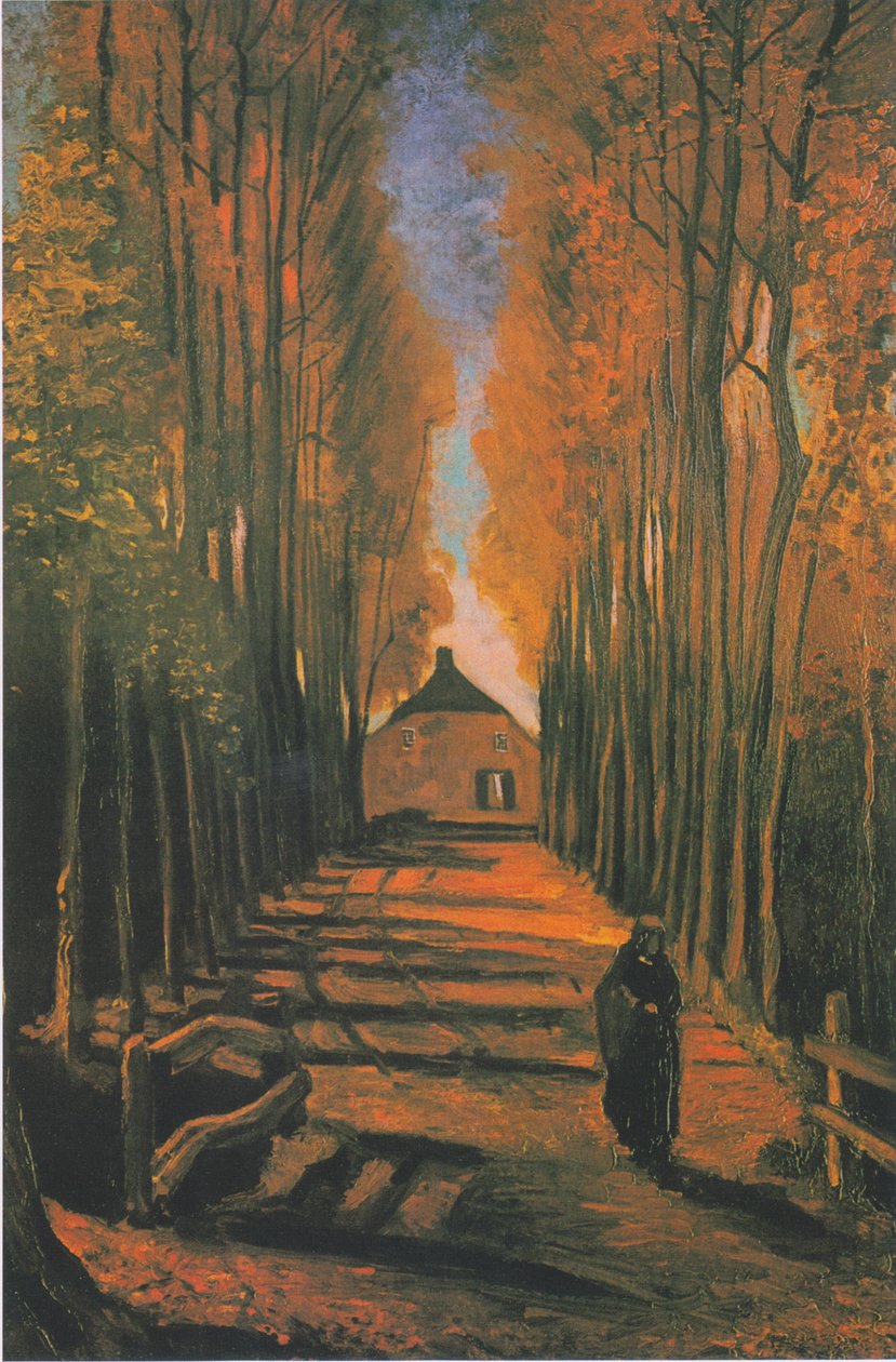 Poppel allé i efteråret af Vincent van Gogh