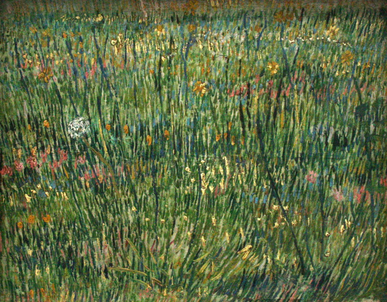 Græsmark af Vincent van Gogh