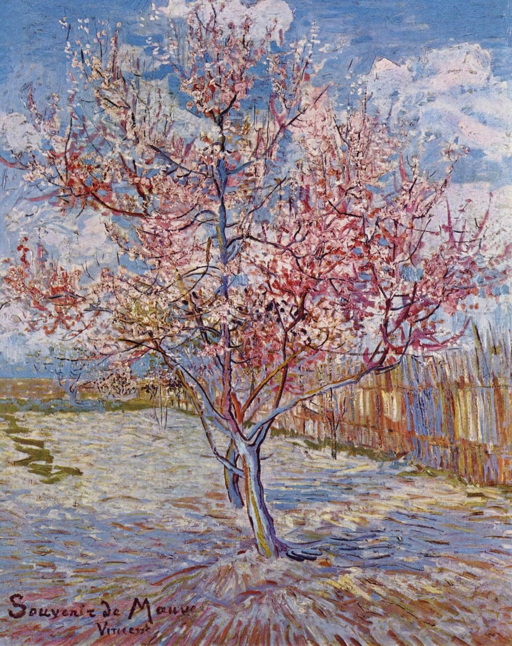 Plaster af græs af Vincent van Gogh