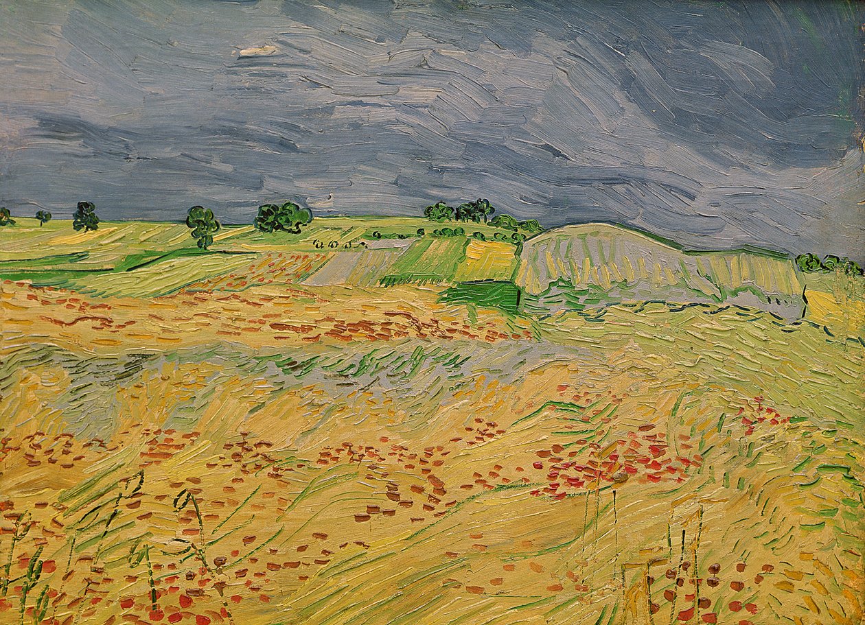 Slette ved Auvers, 1890 af Vincent van Gogh