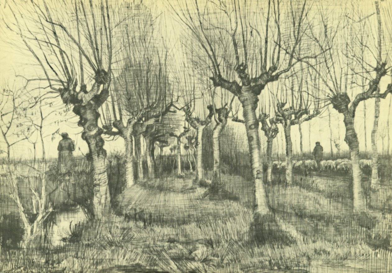 Pollard birches af Vincent van Gogh