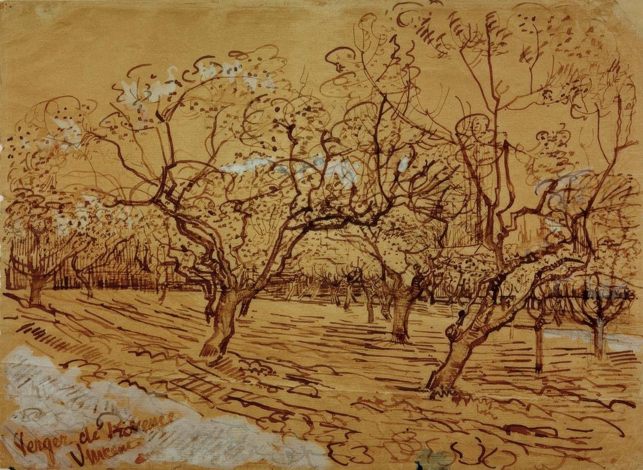 Provencalsk frugthave af Vincent van Gogh
