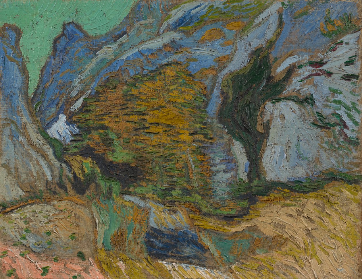 Ravine med en lille strøm af Vincent van Gogh