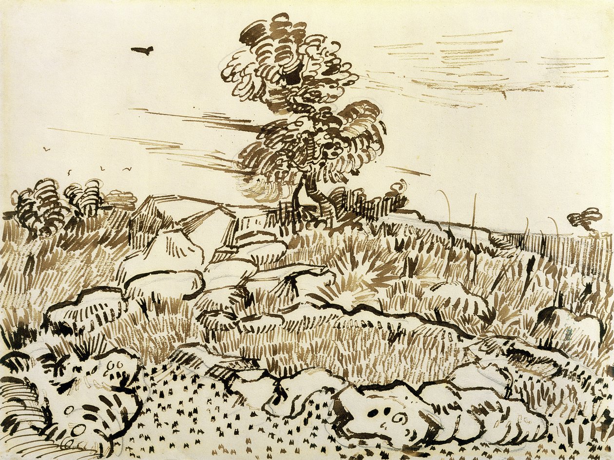 Rocky Ground at Montmajour, 1888-89 (pen, rørpen og blæk på papir) af Vincent van Gogh