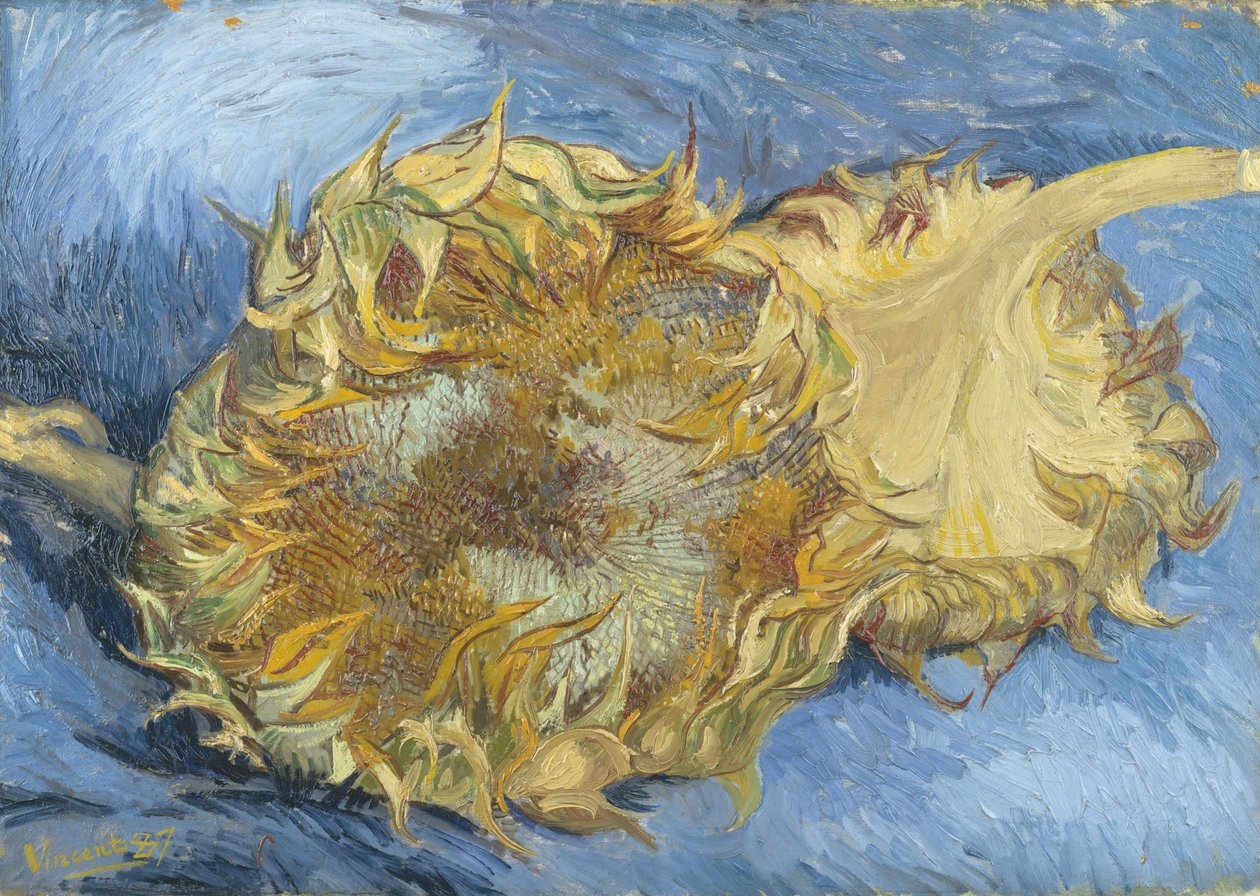 Solsikker af Vincent van Gogh