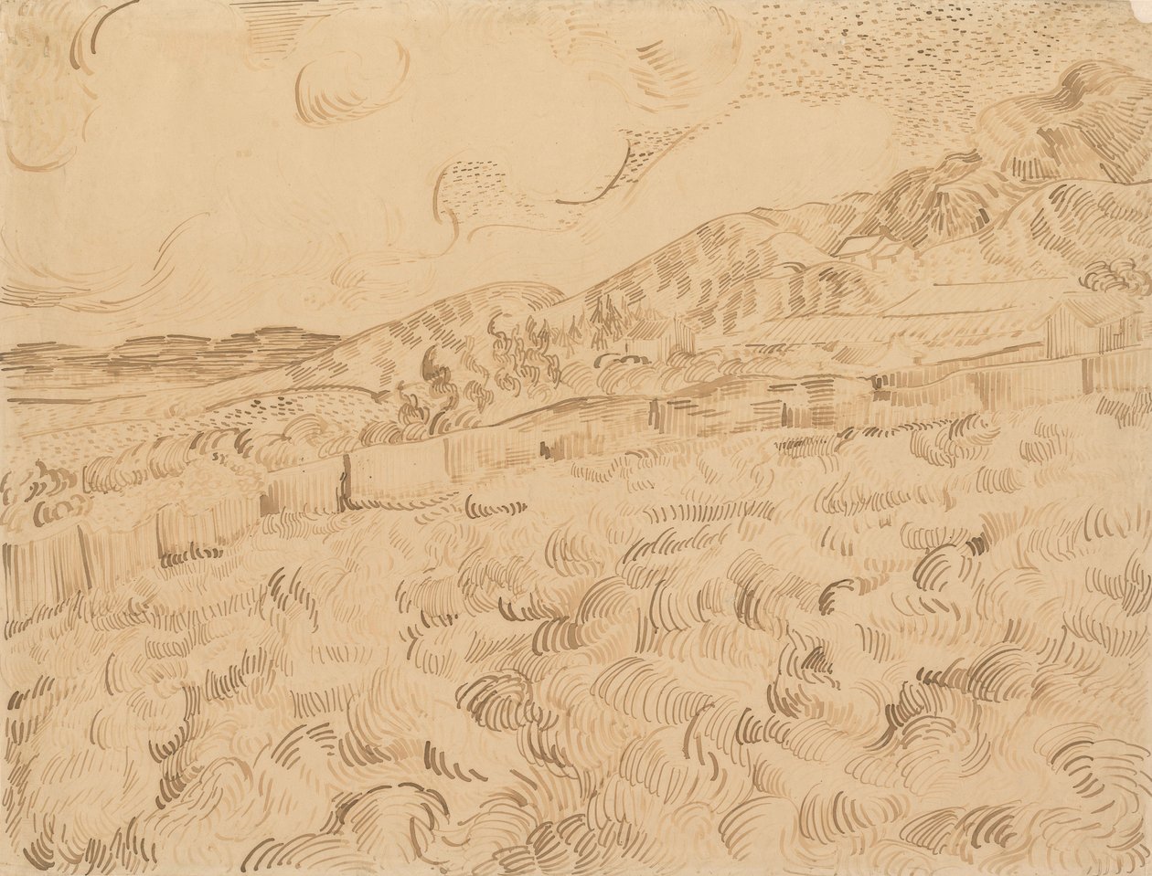 Det lukkede hvedemark efter en storm af Vincent van Gogh